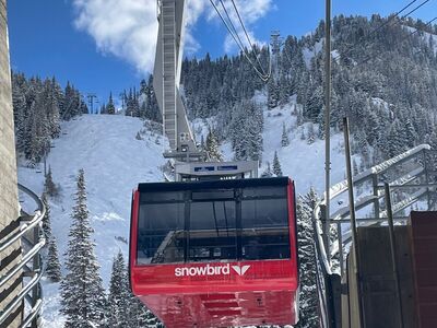 Snowbird daily Ski Passes