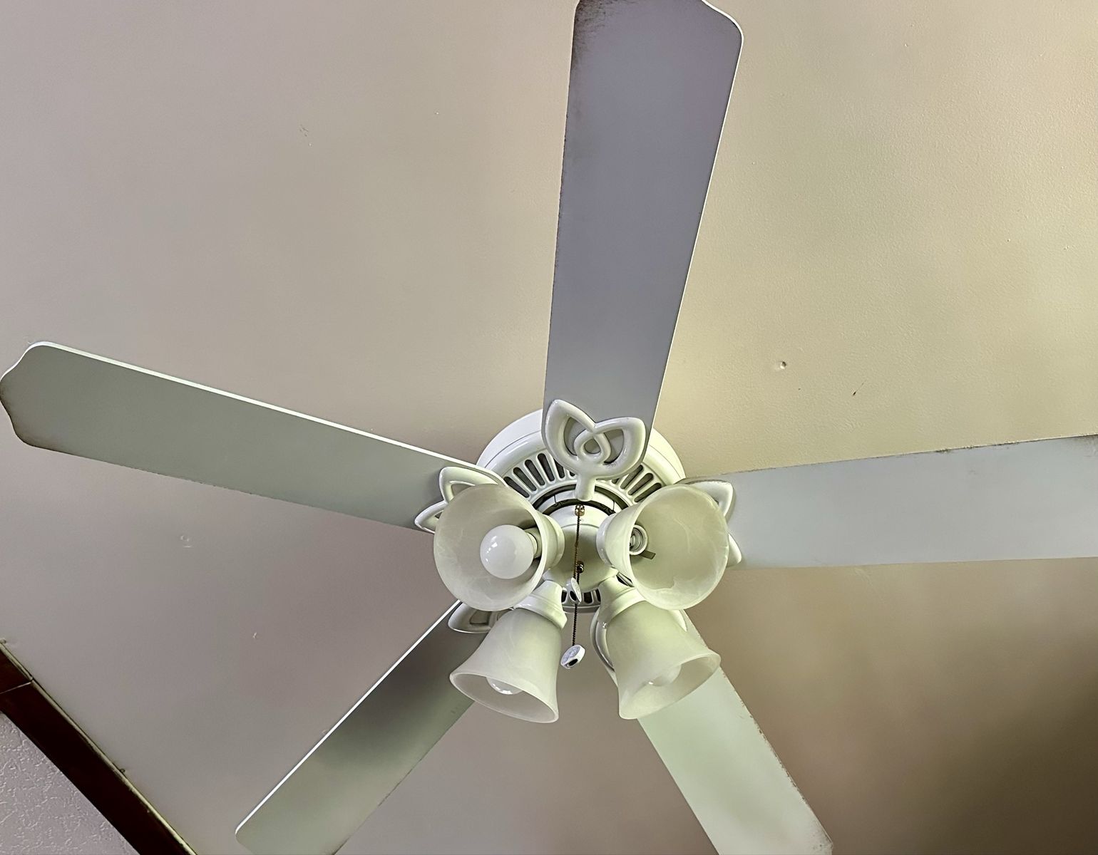 Main image 2