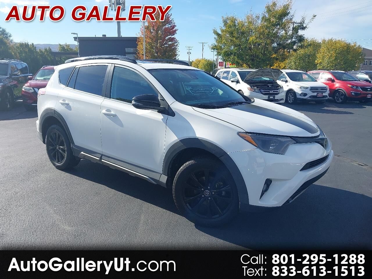 2018 Toyota RAV4 Adventure