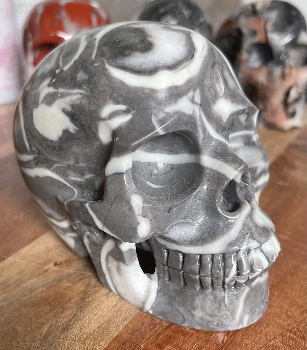 NEW Natural Crystal 5" Skeleton SKULL Thousand Eye Shell Jasper Flashy Stone Home Decor Decoration Figurine Statue Collectible