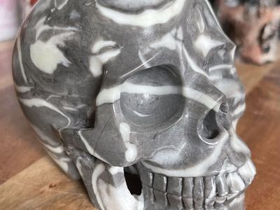 NEW Natural Crystal 5" Skeleton SKULL Thousand Eye Shell Jasper Flashy Stone Home Decor Decoration Figurine Statue Collectible