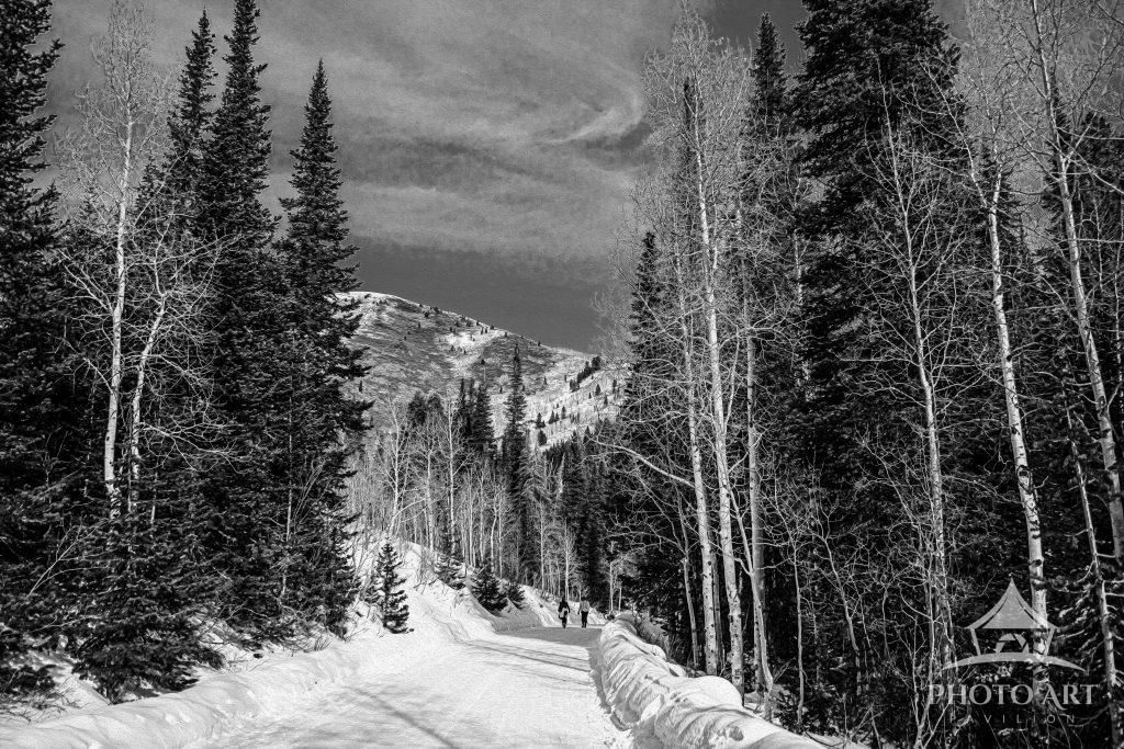 Out For a Walk Photo Art Print