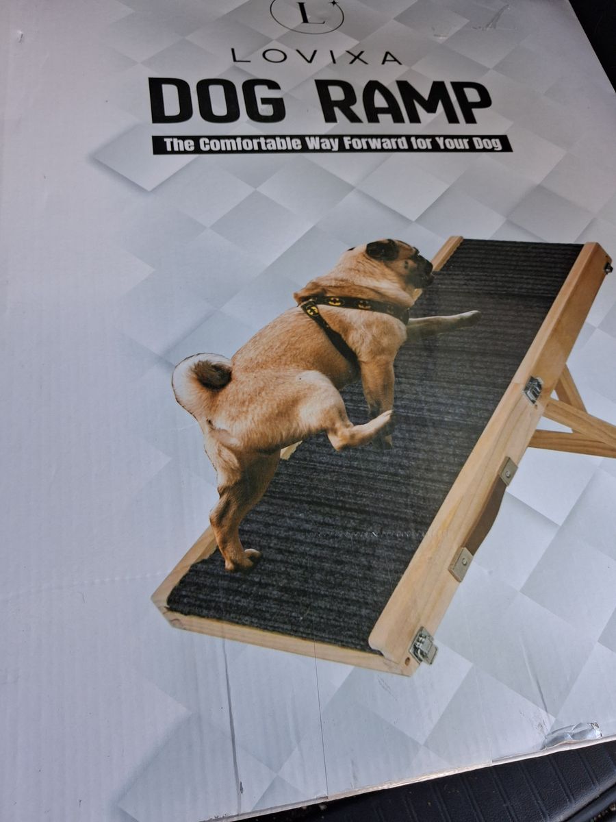 Dog ramp