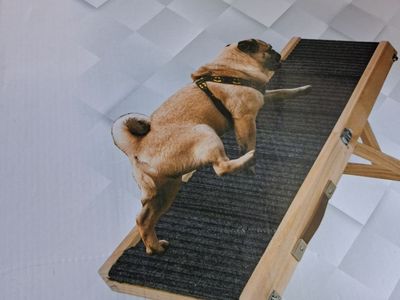 Dog ramp
