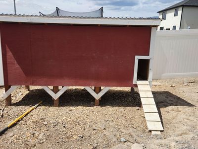 Amazing custom built chicken coop