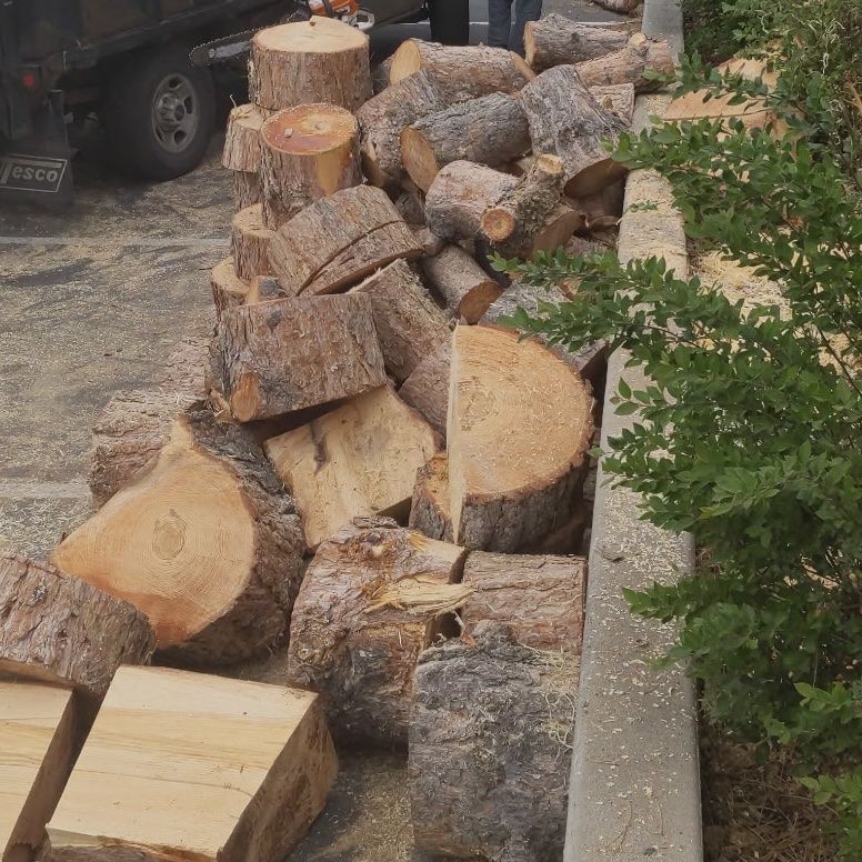 Firewood (pine)