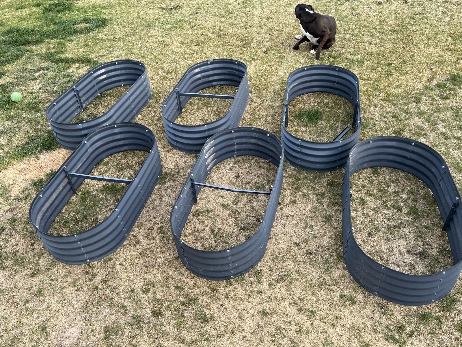 Elevated Planters for Sale