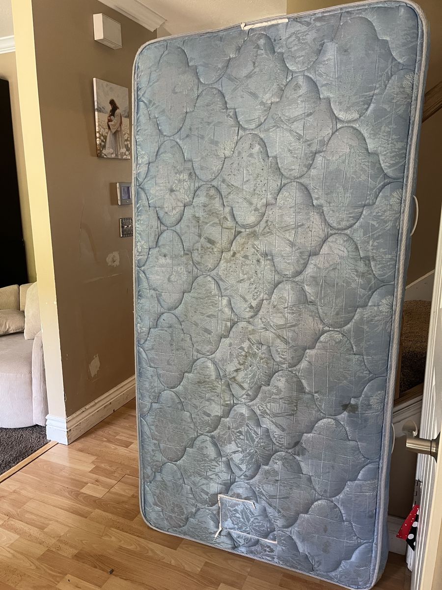 Free twin mattress