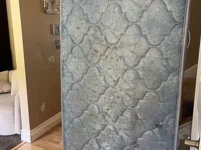 Free twin mattress