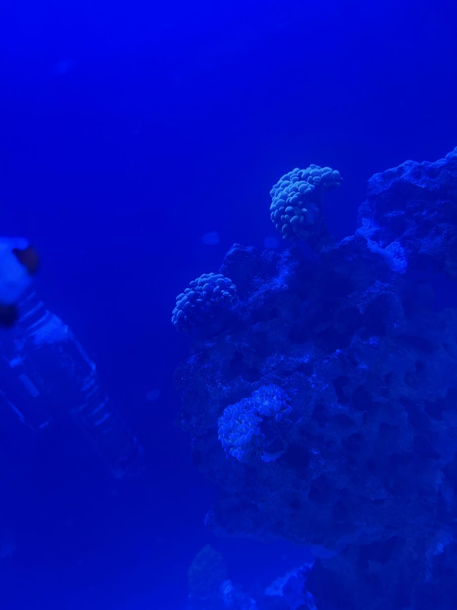 Main image 4