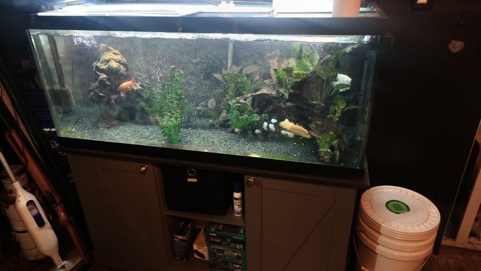 75 Gallon Aquarium