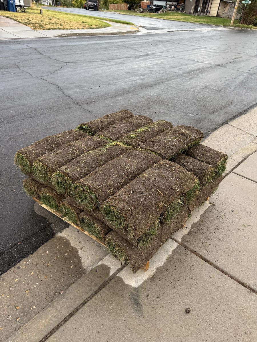 Sod