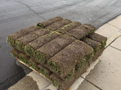 Sod