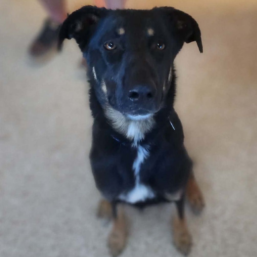 Hello my name is Sasha