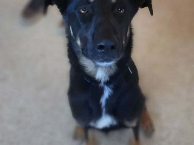 Hello my name is Sasha
