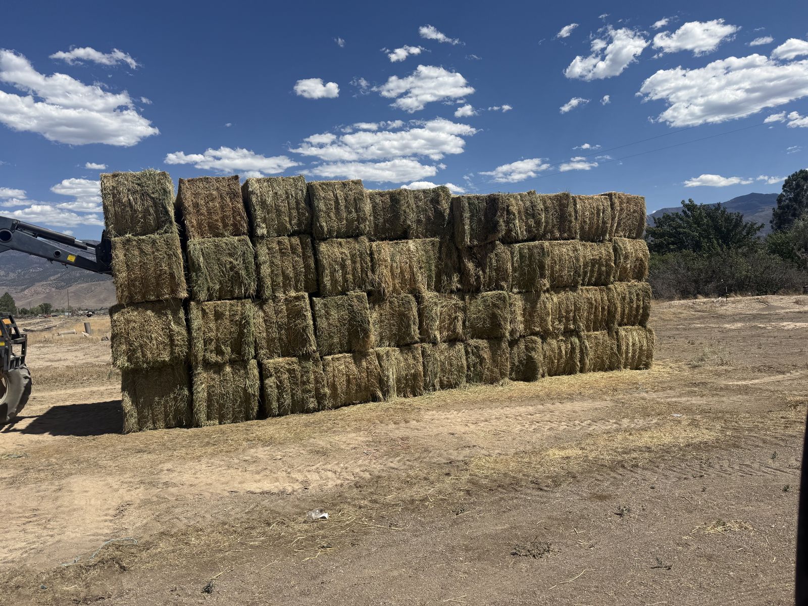 Hay for sale