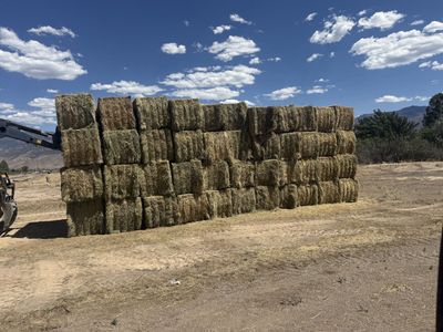 Hay for sale