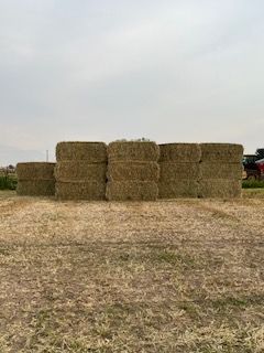 3 Way Hay
