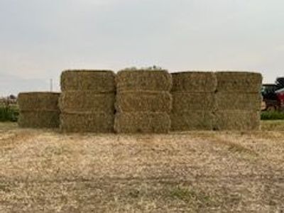 3 Way Hay