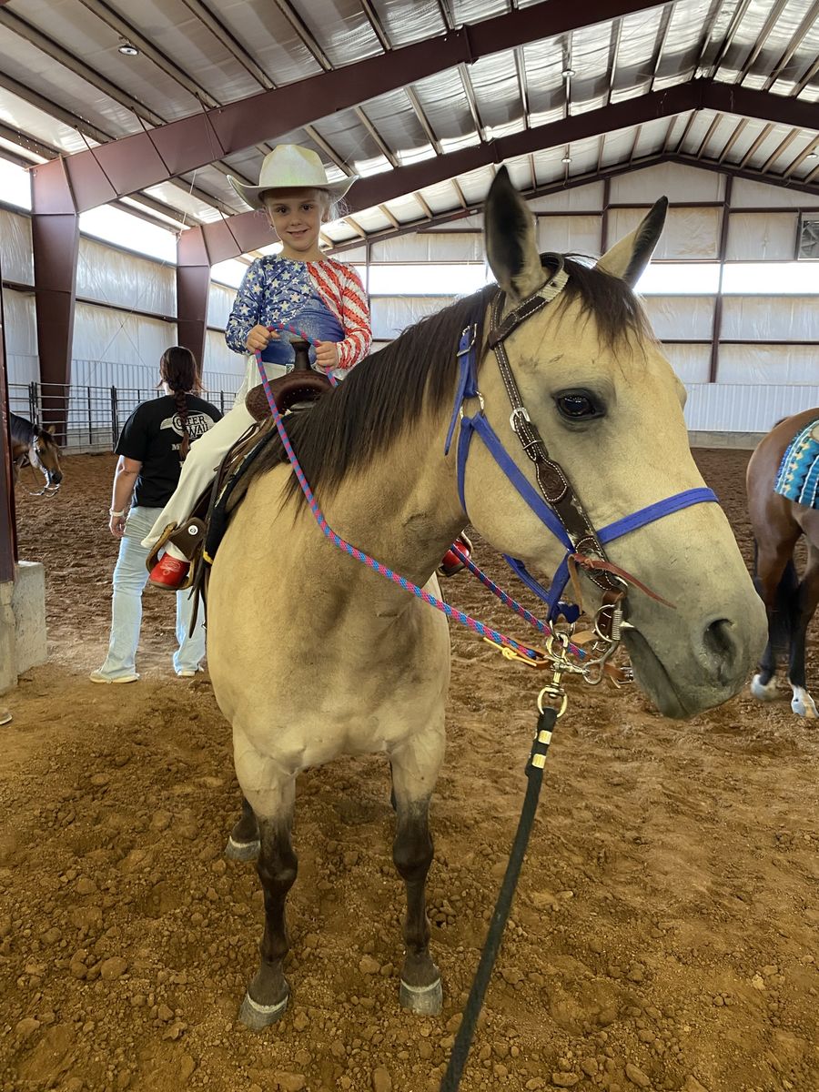 Kid horse