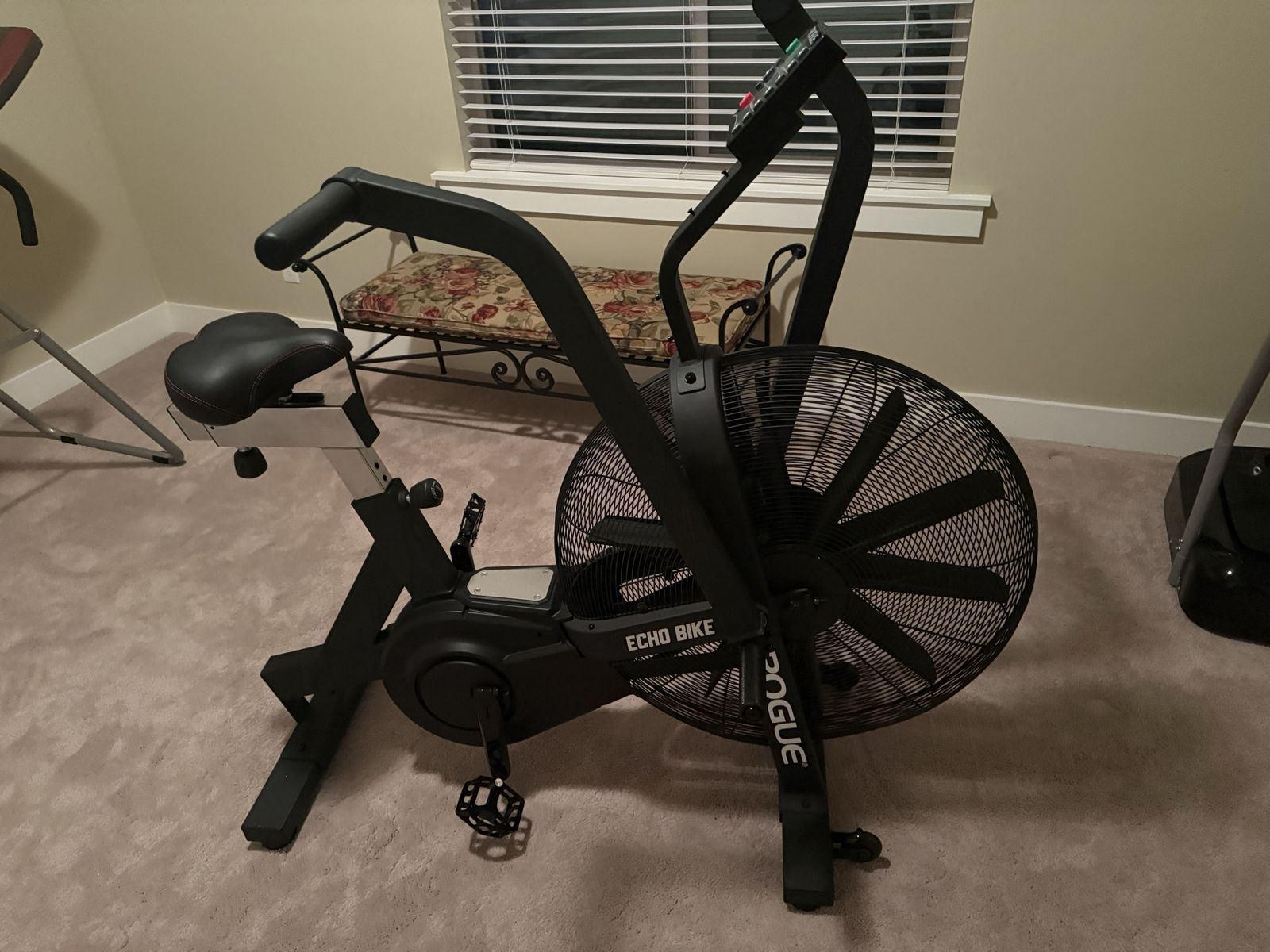 Rogue Echo Air Bike - like new