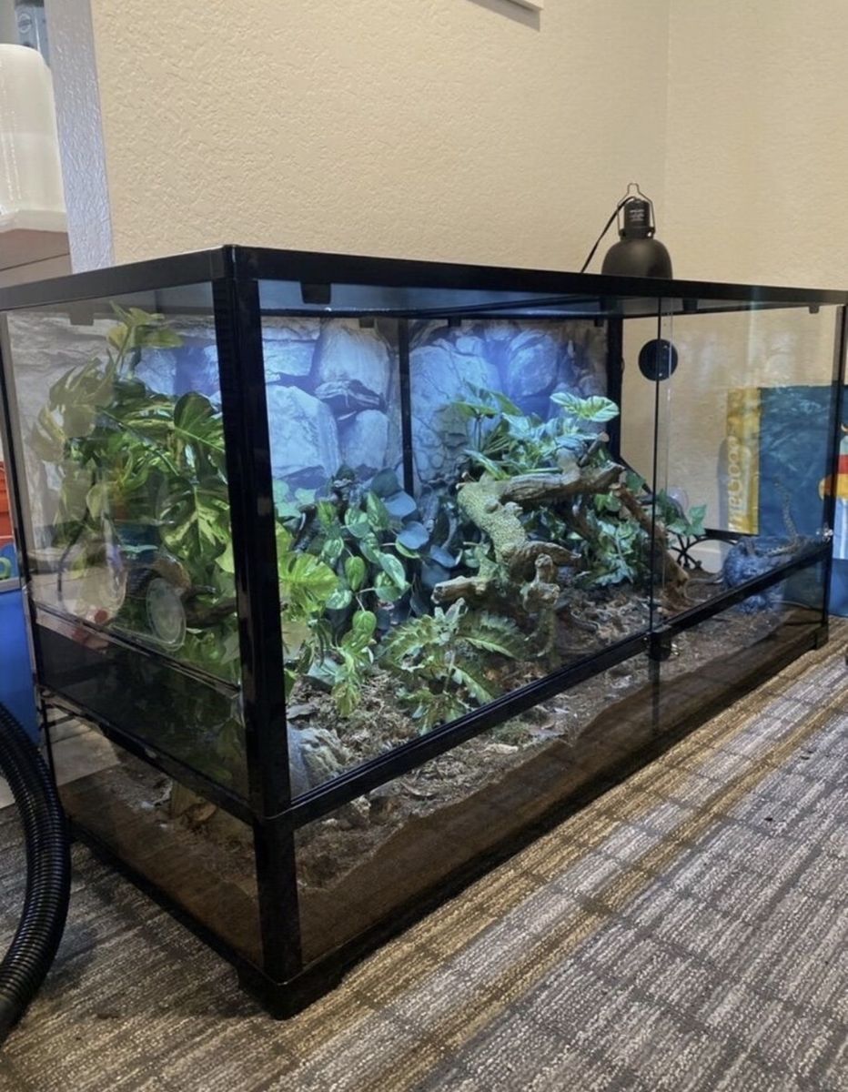 90 Gal Bioactive With Snakes