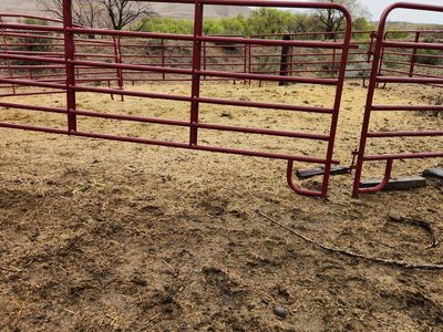 Tarter round pen horse/cattle panels
