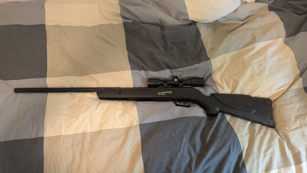 GAMO .177 pellet gun