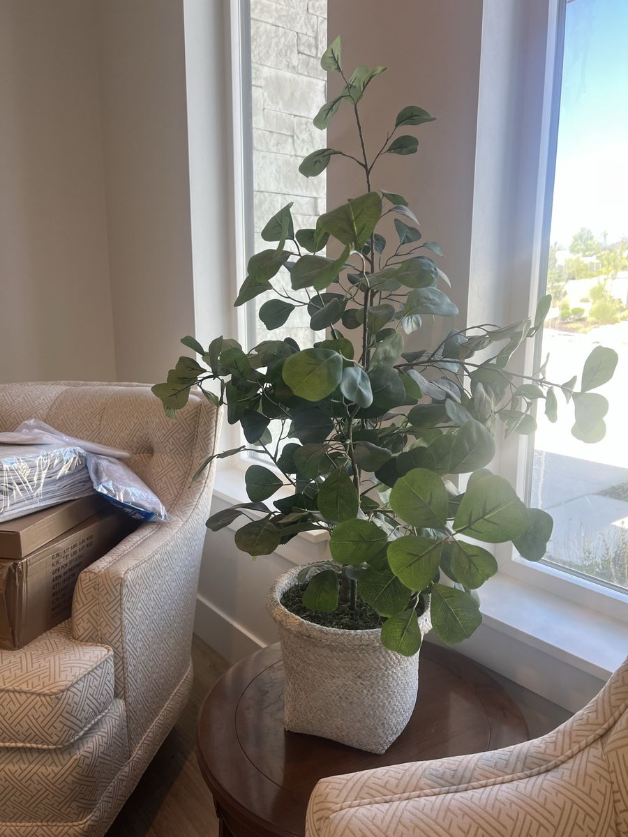 Artificial Potted Plant with Woven Basket - Green Faux Eucalyptus Decor