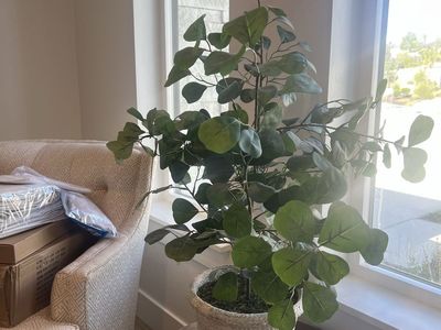 Artificial Potted Plant with Woven Basket - Green Faux Eucalyptus Decor