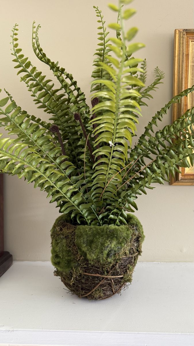 Main image 4