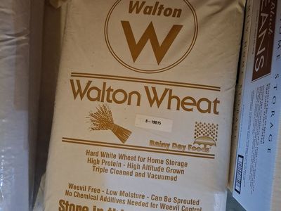 Walton White Wheat Berries 50 lb bag for storage 2 left