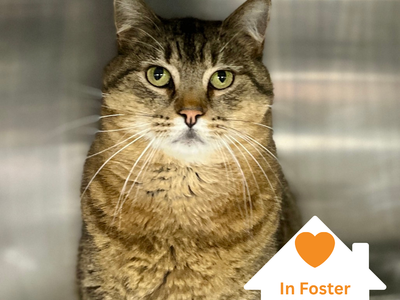 Hello my name is Donnie