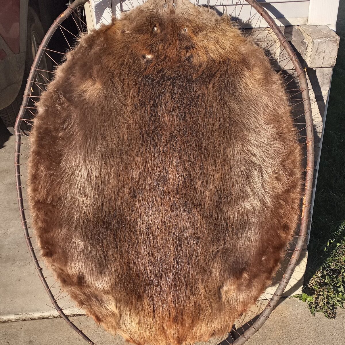 Beaver Hoop