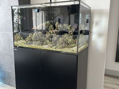 ResSea Reefer 250 Saltwater Tank