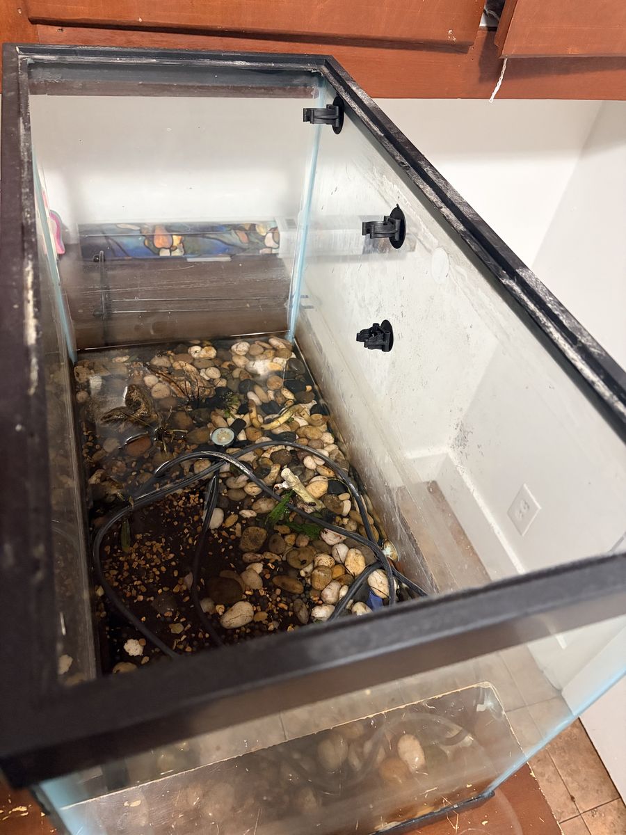 20 gal fish tank 