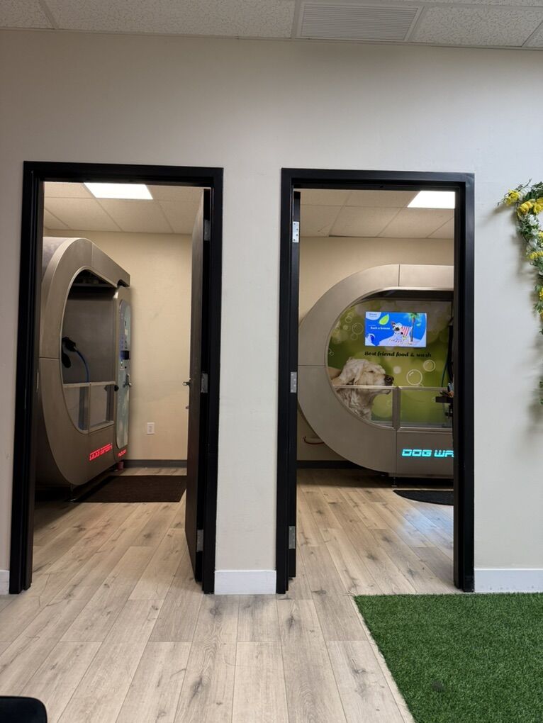 Commercial for Dog Grooming Salt Lake City