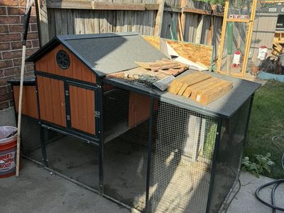 Used Chicken Coup