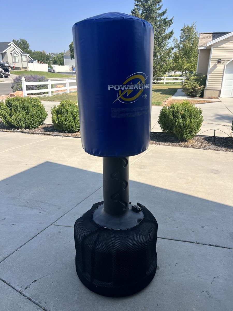 Standing Punching bag