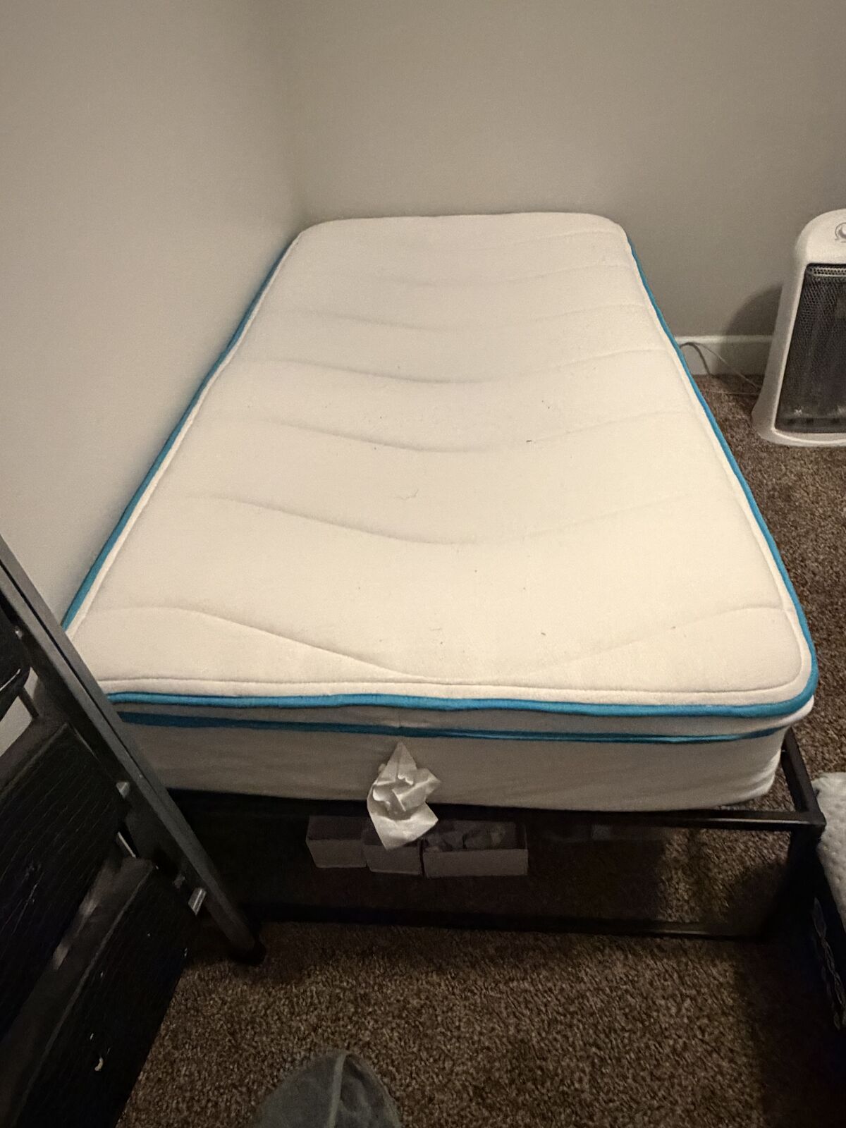 Twin Mattress and metal bedframe