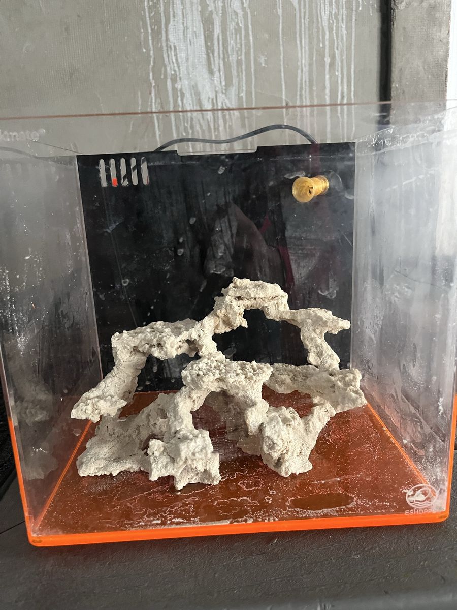 Nano reef tank