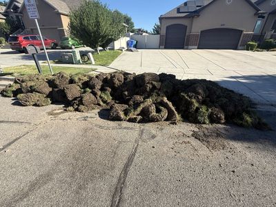 Free Sod/Turf/Grass - Large Quantity Available for Pickup