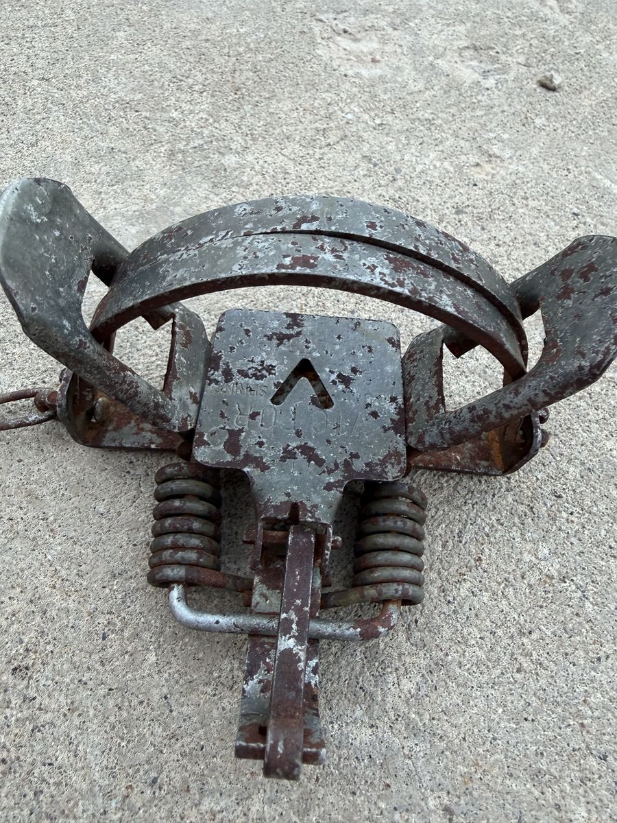 Vintage Victor No. 1.5 Coil Spring Trap for Hunting & Trapping