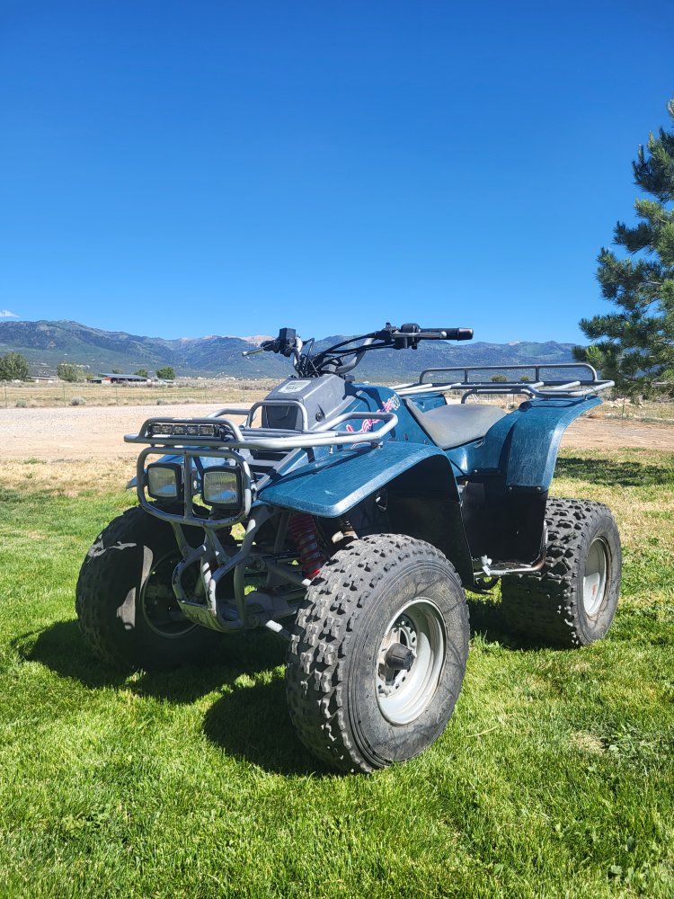 Kawasaki lakota 300