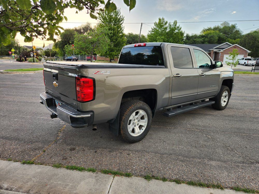 Main image 5