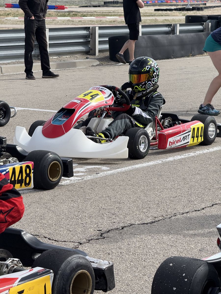 Birel Art LO206 4 Stroke kart racing go-kart w/ extra rebuilt motor and rolling stand