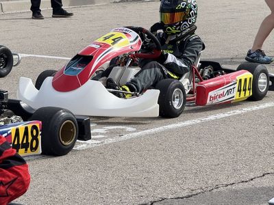 Birel Art LO206 4 Stroke kart racing go-kart w/ extra rebuilt motor and rolling stand