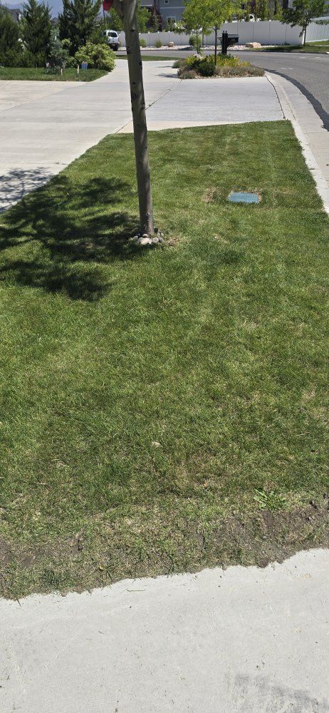 FREE Sod!