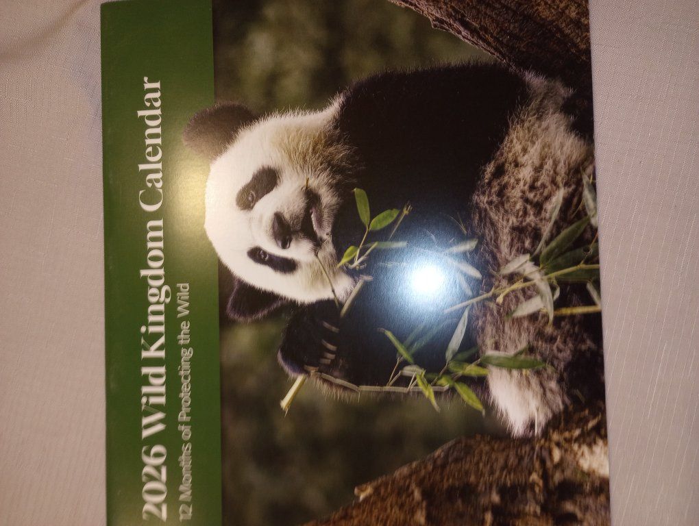 free 2026 wall calendar