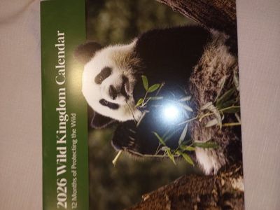 free 2026 wall calendar